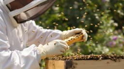 ApiHealth Research Team